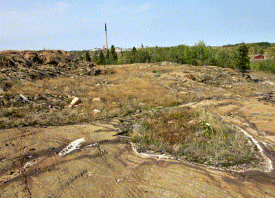 Driving Range area in 2010