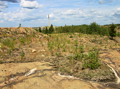 Driving Range area in 2012