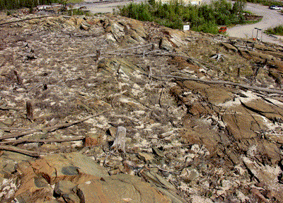 Esso area in 2002  with crushed limestone on the rocky and barren ground