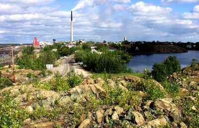 Hapnot 2005 with vegetation over a foot high