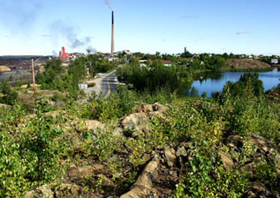 Hapnot 2007 with vegetation over a metre high