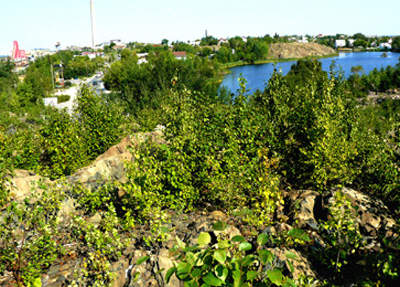 Hapnot 2009 with vegetation covering the rocky area fairly thickly