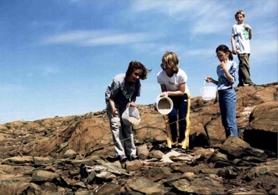 Knight 1 area in 2000 with four students spreading crushed limestone on the rocky and barren ground