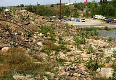 Pizza area in 2003 with vegetation a foot high