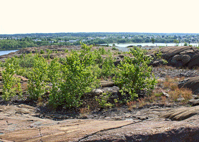 Second Valley area in August2015