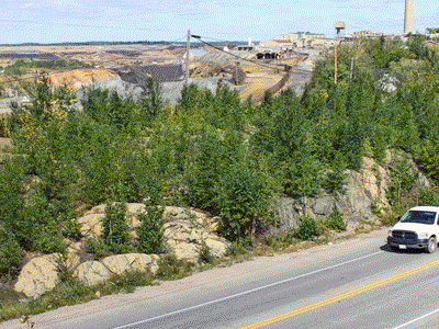 Driving Range area in 2014 with high vegetation